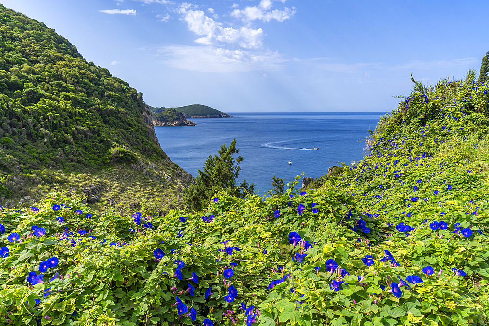 View of coastline and Ionian Sea near Palaiokastritsa, Palaiokastritsa, Corfu, Ionian Sea, Greek Islands, Greece, Europe