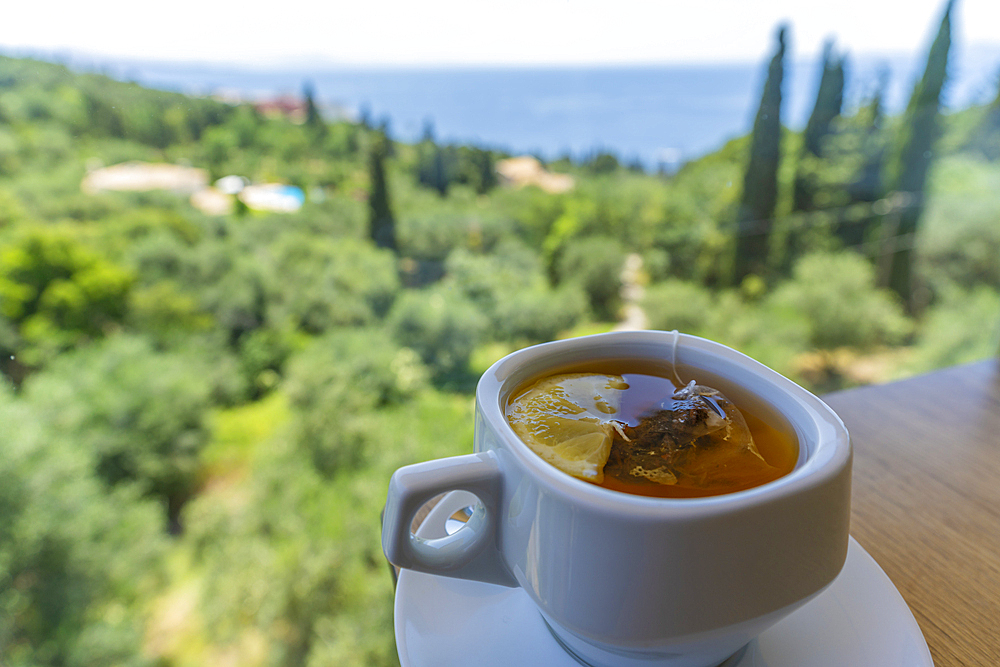 View of lemon tea, Ionian Sea and and coastline near Kassiopi, Kassiopi, Corfu, Ionian Sea, Greek Islands, Greece, Europe