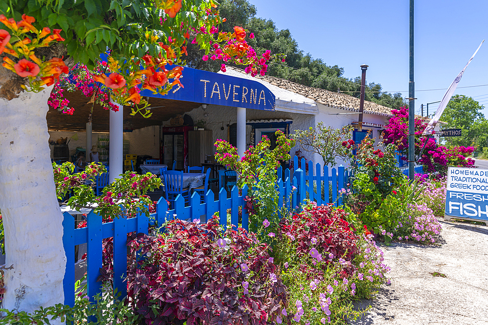 View of taverna near Paralia Kalamaki, Paralia Kalamaki, Corfu, Ionian Sea, Greek Islands, Greece, Europe