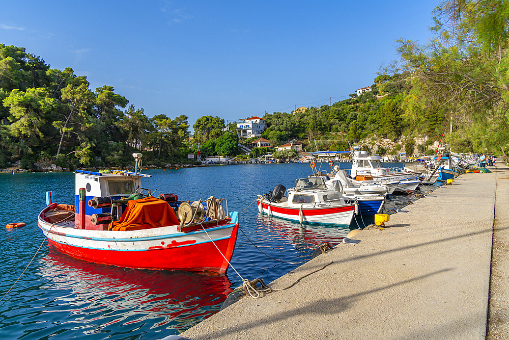 View of boats in the harbour in Gaios Town, Paxos, Ionian Sea, Greek Islands, Greece, Europe