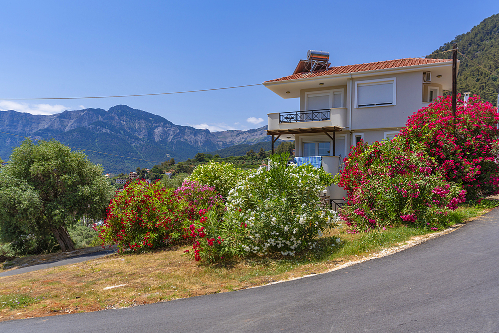 View of chalet (small villa) and hills in background in Chrysi Ammoudia, Thassos, Aegean Sea, Greek Islands, Greece, Europe