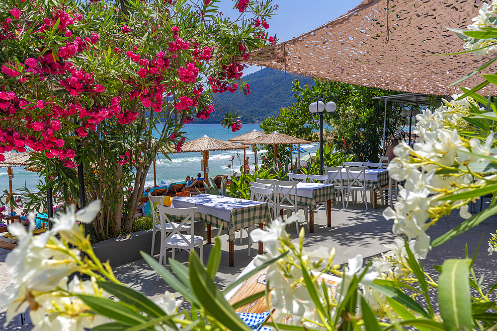 View of beach side restaurant in Golden Beach at Chrysi Ammoudia, Thassos, Aegean Sea, Greek Islands, Greece, Europe