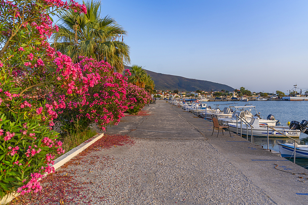 View of boats in the harbour at Skala Kallirachis, Skala Kallirachis, Thassos, Aegean Sea, Greek Islands, Greece, Europe