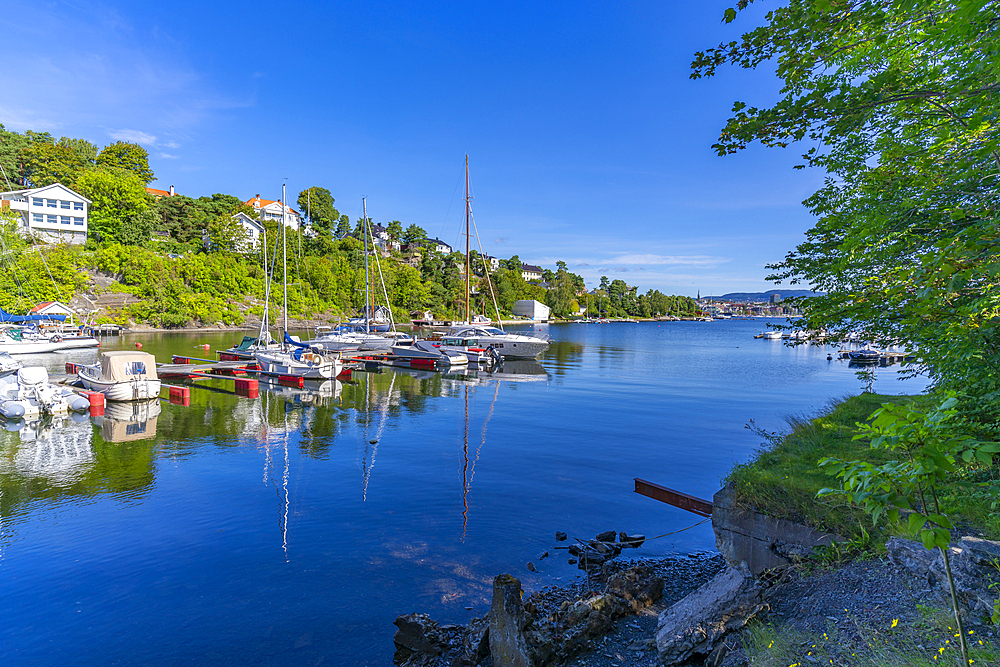 View of boats moored up at Langviksbukta, Bygdoynesveien, Oslo, Norway, Scandinavia, Europe