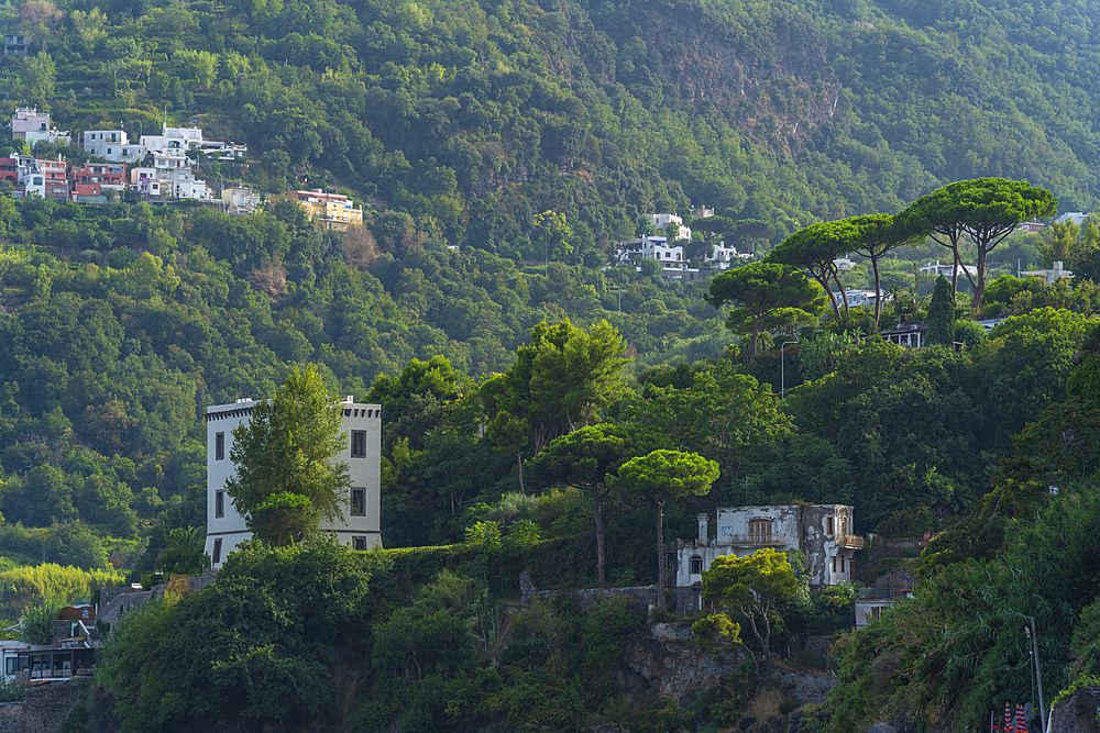 View of hills and villas near Aragonese Castle at sunset, Port of Ischia, Island of Ischia, Campania, Italy, Europe