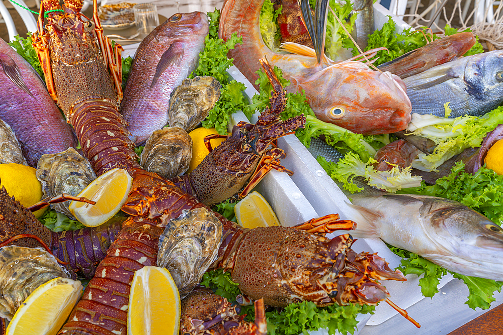 View of fresh fish at restaurant in Porto d'Ischia at sunset, Port of Ischia, Island of Ischia, Campania, Italy, Europe