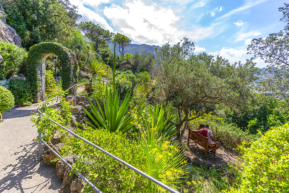 View of tropical flora in Giardini la Mortella Botanical Garden, Forio, Island of Ischia, Campania, Italy, Europe