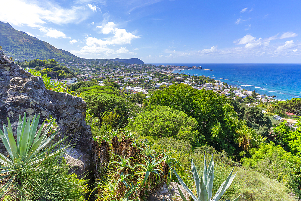 View of tropical flora in Giardini la Mortella Botanical Gardens and Forio in background, Forio, Island of Ischia, Campania, Italy, Europe