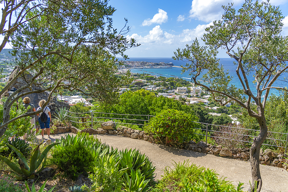 View of tropical flora in Giardini la Mortella Botanical Gardens and Forio in background, Forio, Island of Ischia, Campania, Italy, Europe