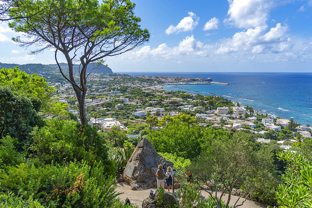 View of tropical flora in Giardini la Mortella Botanical Gardens and Forio in background, Forio, Island of Ischia, Campania, Italy, Europe