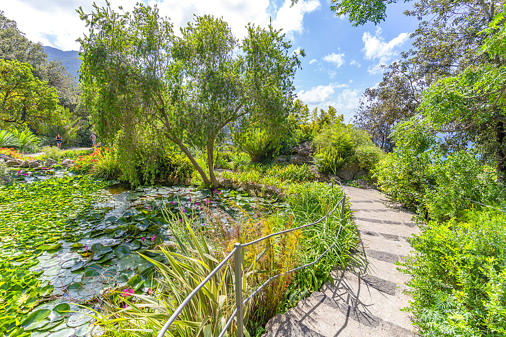 View of tropical flora in Giardini la Mortella Botanical Gardens, Forio, Island of Ischia, Campania, Italy, Europe