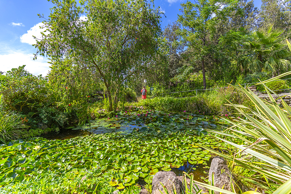 View of tropical flora in Giardini la Mortella Botanical Gardens, Forio, Island of Ischia, Campania, Italy, Europe