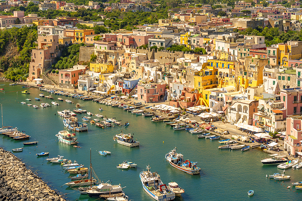 View of Marina di Corricella from elevated position, Procida, Phlegraean Islands, Gulf of Naples, Campania, Southern Italy, Italy, Europe