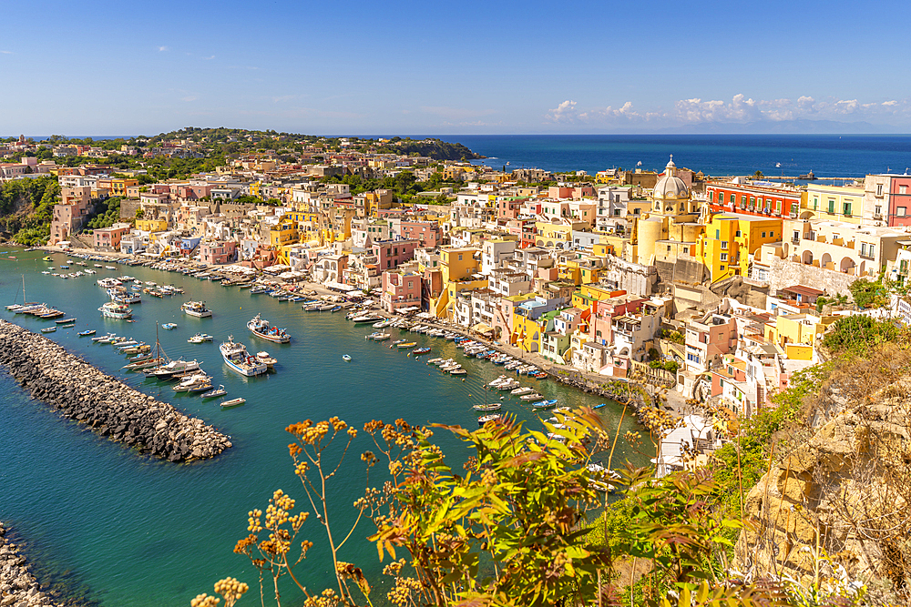 View of Marina di Corricella from elevated position, Procida, Phlegraean Islands, Gulf of Naples, Campania, Southern Italy, Italy, Europe