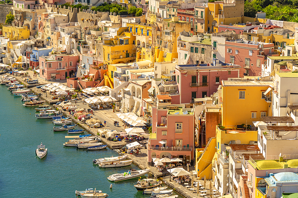 View of Marina di Corricella from elevated position, Procida, Phlegraean Islands, Gulf of Naples, Campania, Southern Italy, Italy, Europe