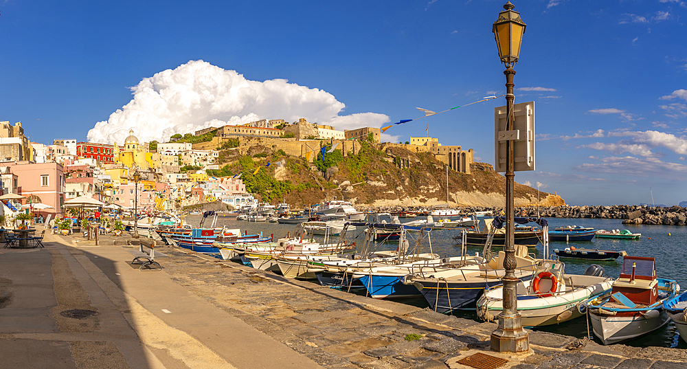 View of fishing boats in Marina di Corricella, Procida, Phlegraean Islands, Gulf of Naples, Campania, Southern Italy, Italy, Europe