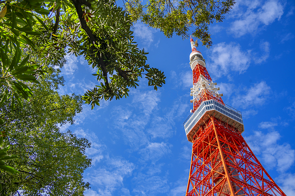 View of Tokyo Tower from its base against blue sky, Shibakoen, Minato City, Tokyo, Honshu, Japan