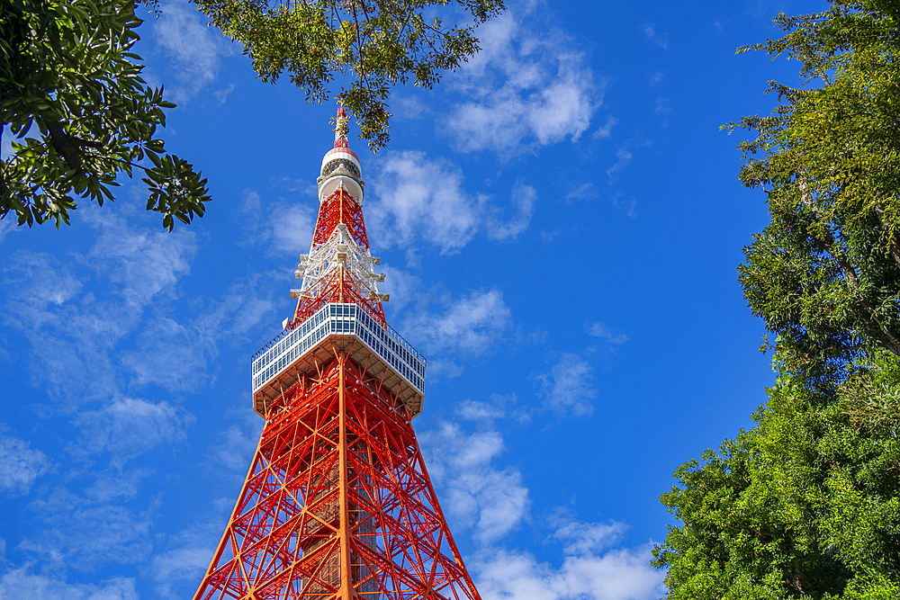 View of Tokyo Tower from its base against blue sky, Shibakoen, Minato City, Tokyo, Japan, Asia