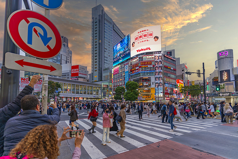 View of people at the world's busiest road crossing, Shibuya Scramble Crossing at sunset, Minato City, Tokyo, Honshu, Japan