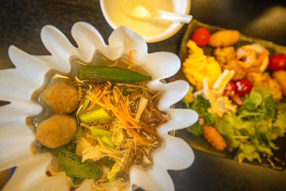 Dish portion of traditional Japanese noodle soup and dumplings, ramen with wild vegetables, Tokyo, Japan, Asia