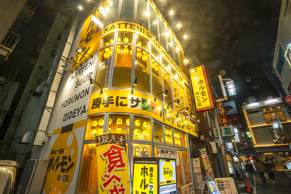 View of Kabukicho neon lit street at night, Shinjuku City, Kabukicho, Tokyo, Honshu, Japan