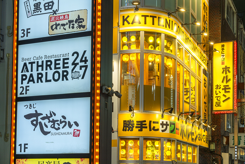 View of Kabukicho neon lit street at night, Shinjuku City, Kabukicho, Tokyo, Honshu, Japan