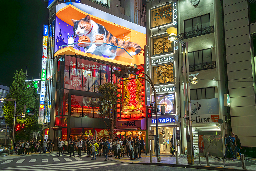 View of giant 3D cat and Kabukicho neon lit street at night, Shinjuku City, Kabukicho, Tokyo, Honshu, Japan