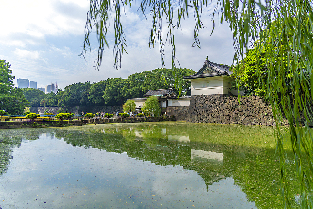 View of Ote-bori Moat, The East Gardens of the Imperial Palace, on a sunny day, Chiyoda, Tokyo, Honshu, Japan