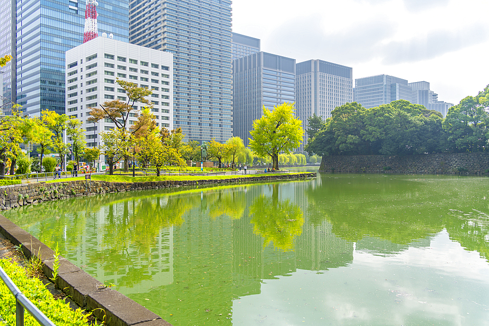 View of city buildings reflecting in Ote-bori Moat, The East Gardens of the Imperial Palace, Chiyoda, Tokyo, Honshu, Japan