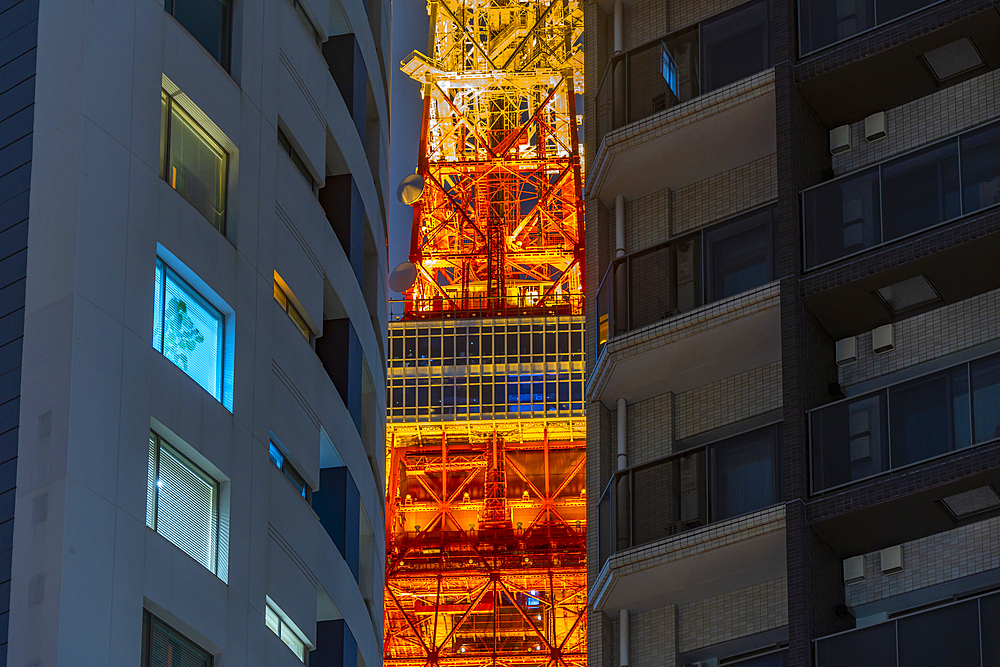 View of Tokyo Tower and city buildings at night, Minato City, Tokyo, Honshu, Japan