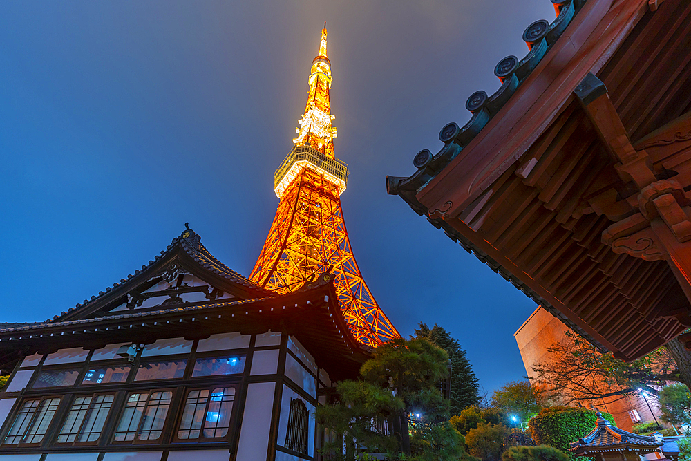 View of Tokyo Tower and Rurikoji Buddhist Temple at night, Minato City, Tokyo, Honshu, Japan