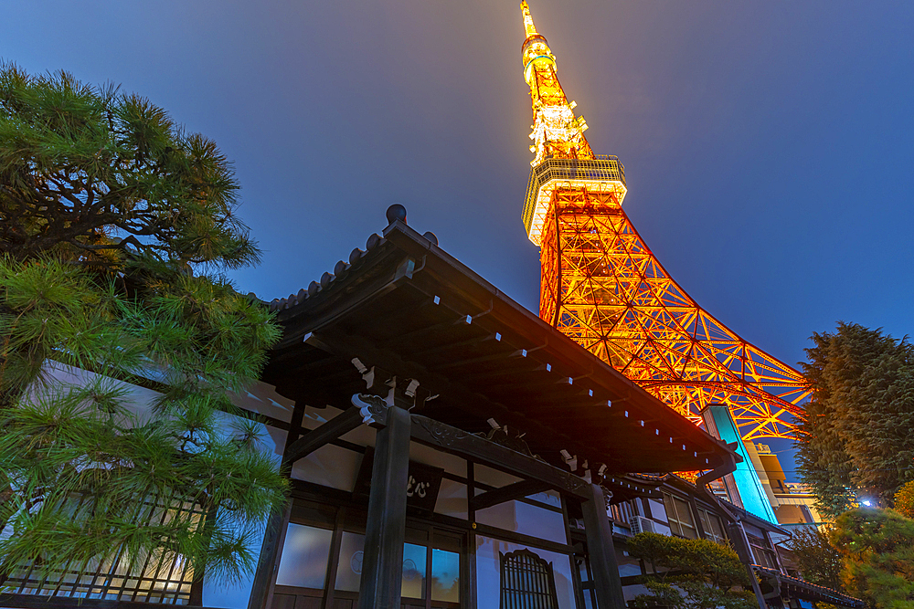 View of Tokyo Tower and Rurikoji Buddhist Temple at night, Minato City, Tokyo, Honshu, Japan