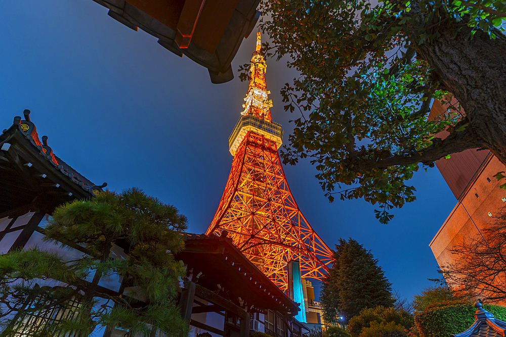 View of Tokyo Tower and Rurikoji Buddhist Temple at night, Minato City, Tokyo, Honshu, Japan