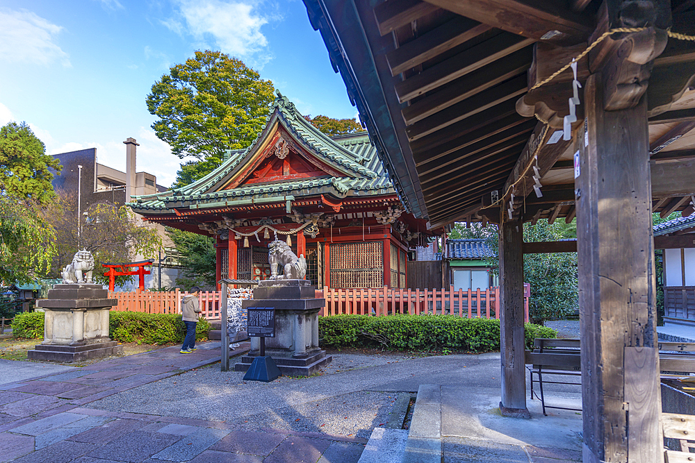 View of the Ozaki Shrine on a sunny day, Kanazawa City, Ishikawa Prefecture, Honshu, Japan