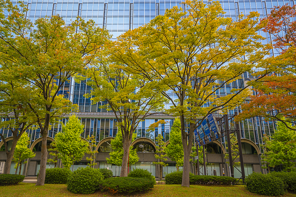 View of colourful trees turning in autumn against modern buildings, Kanazawa City, Ishikawa Prefecture, Honshu, Japan