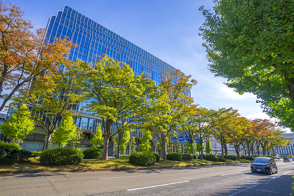 View of colourful trees turning in autumn against modern buildings, Kanazawa City, Ishikawa Prefecture, Honshu, Japan