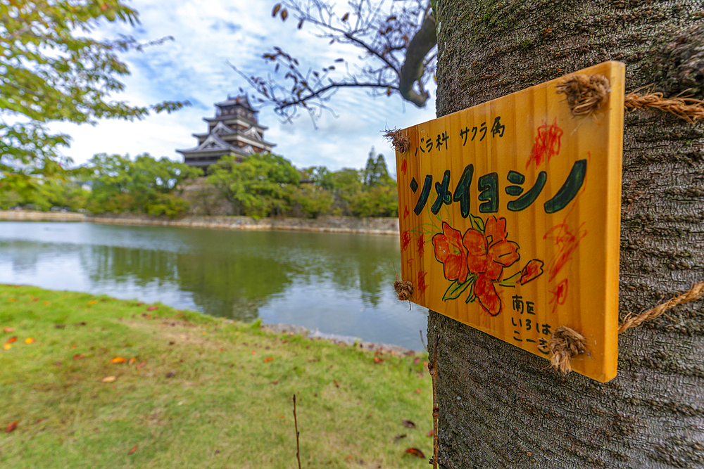 View of Hiroshima Castle, with museum, reflecting in Moat and sign on tree, Motomachi, Naka Ward, Hiroshima, Japan, Asia