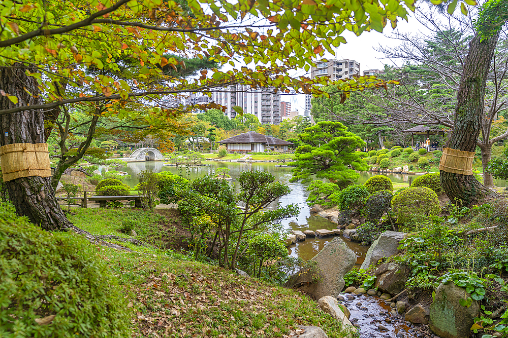 View of Takueichi Pond in Shukkeien Garden, Kaminoboricho, Naka Ward, Hiroshima, Japan, Asia