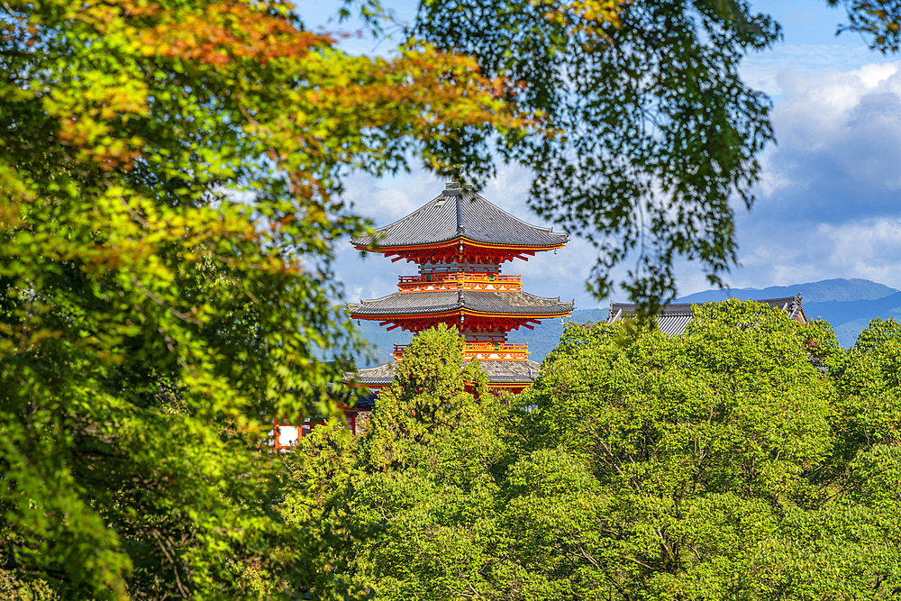 View of Kiyomizu-dera Temple among the trees, UNESCO, Kiyomizu, Higashiyama Ward, Kyoto, Honshu, Japan