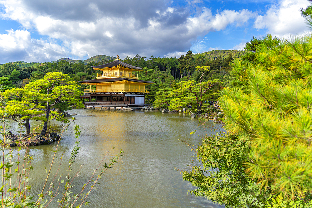 View of Golden Temple (Kinkaku-ji) (Temple of the Golden Pavilion), UNESCO, Kyoto, Honshu, Japan