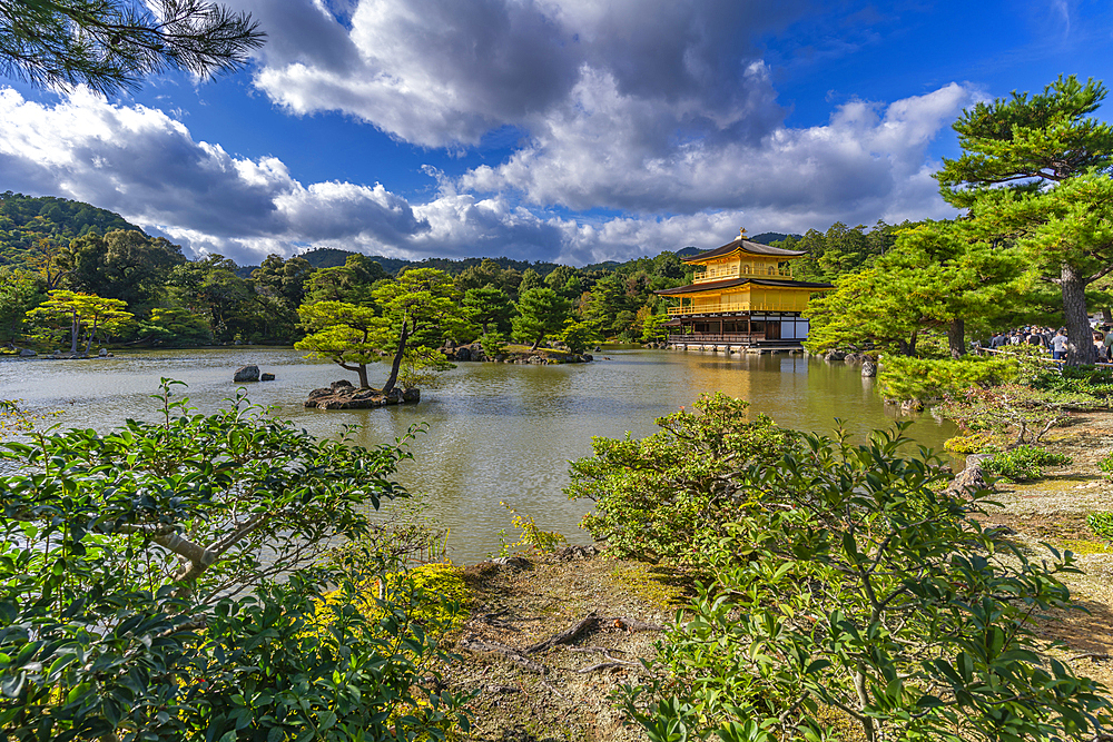 View of Golden Temple (Kinkaku-ji) (Temple of the Golden Pavilion), UNESCO, Kyoto, Honshu, Japan