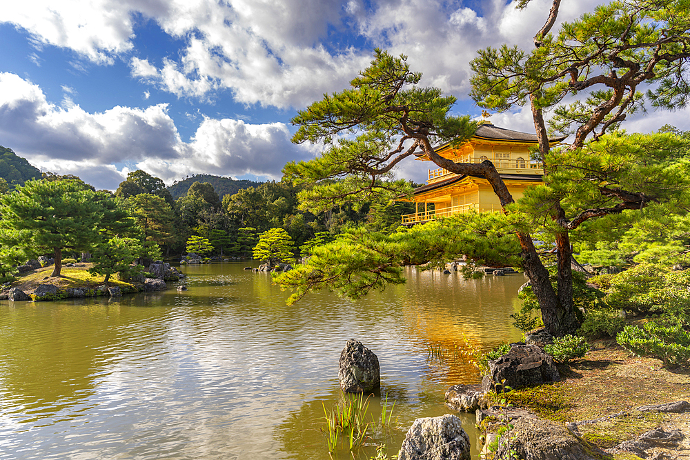 View of Golden Temple (Kinkaku-ji) (Temple of the Golden Pavilion), UNESCO, Kyoto, Honshu, Japan