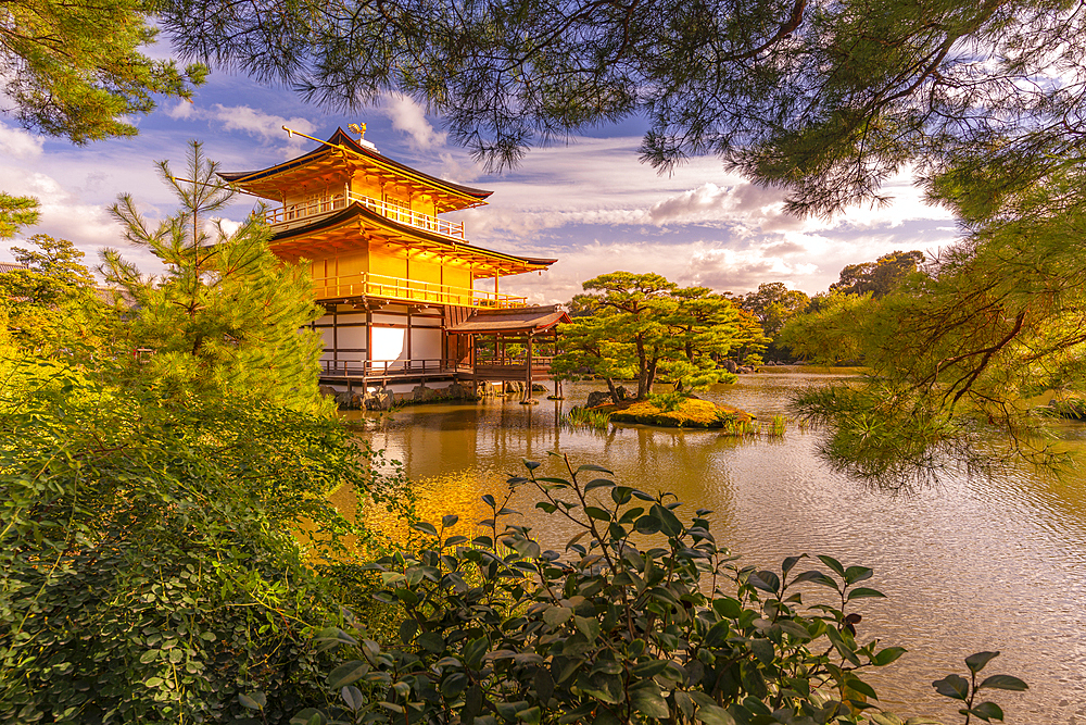 View of Golden Temple (Kinkaku-ji) (Temple of the Golden Pavilion), UNESCO, Kyoto, Honshu, Japan