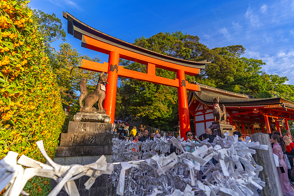 View of Kyoto's Fushimi Inari Buddist Temple, Fukakusa Yabunouchicho, Fushimi Ward, Kyoto, Japan, Asia