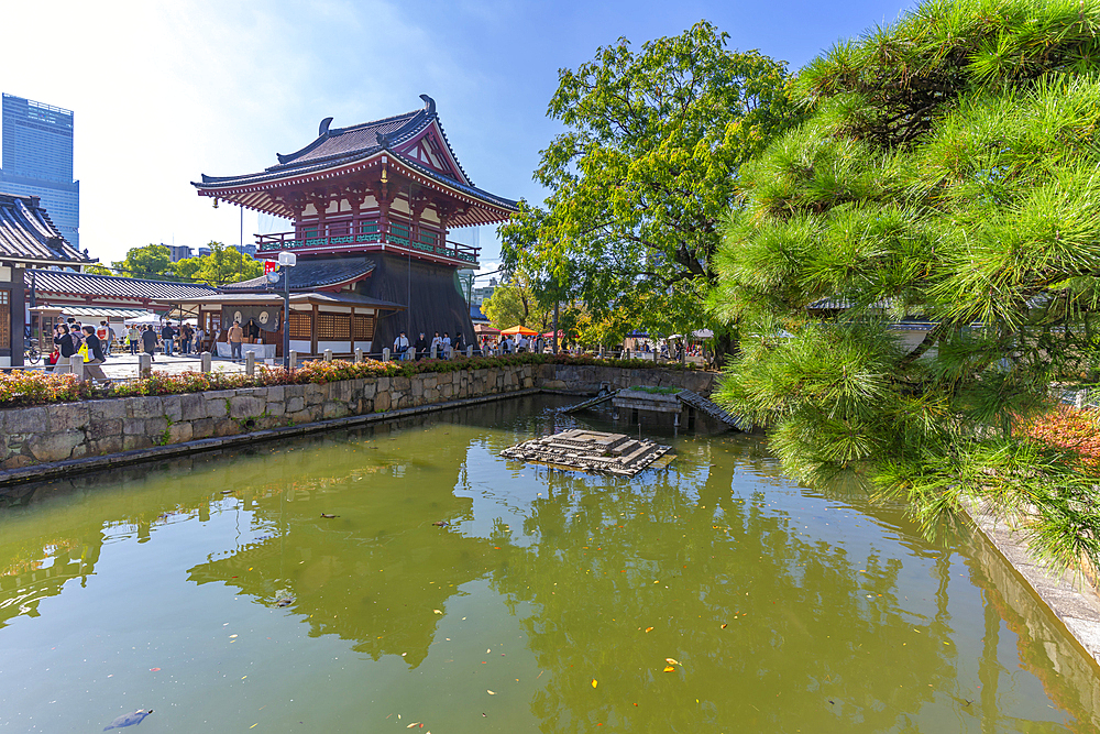 View of Kita-indogane-do and turtles in turtle pond on a sunny day, Shitennoji, Tennoji Ward, Osaka, Honshu, Japan, Asia