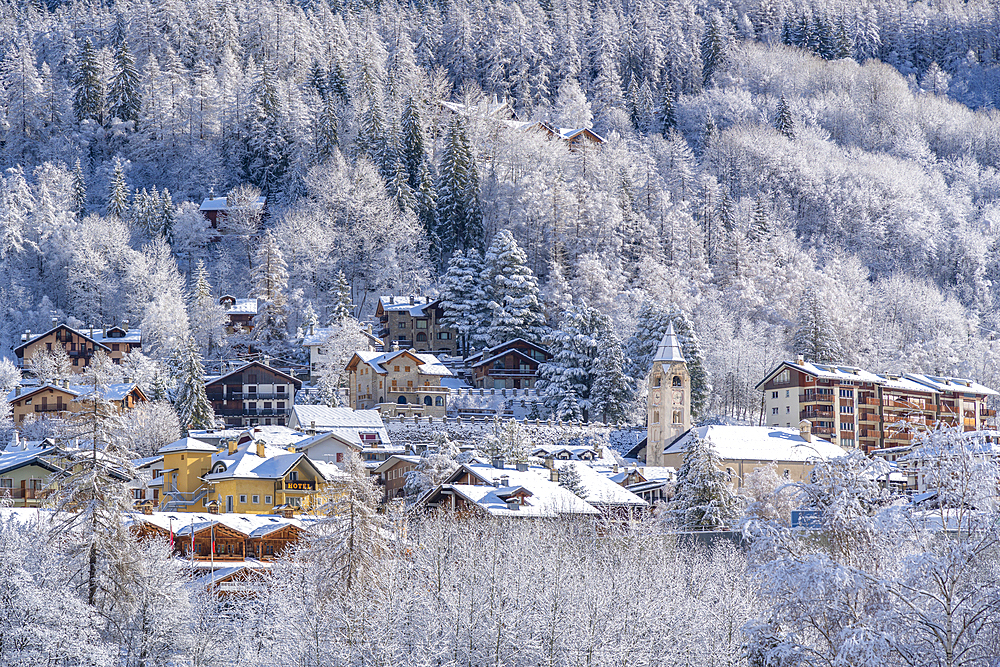 View of snow covered trees, mountains and Courmayeur from Dolonne during winter, Courmayeur, Aosta Valley, Italy, Europe