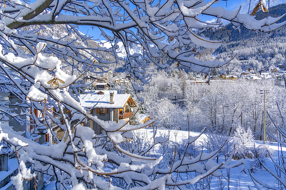 View of snow covered trees, mountains and Courmayeur from Dolonne during winter, Courmayeur, Aosta Valley, Italy, Europe