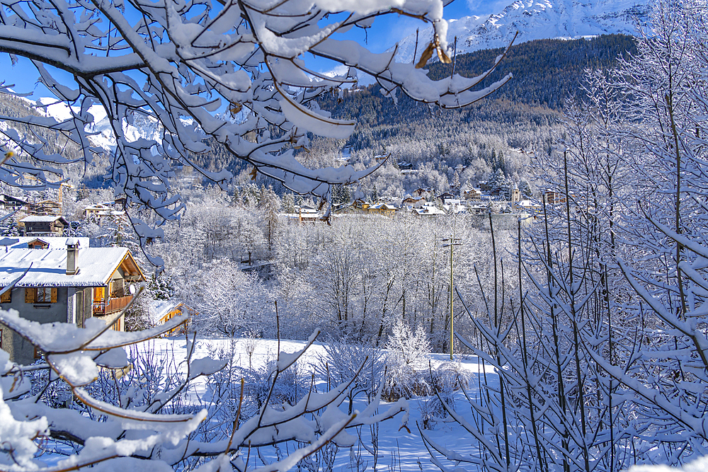 View of snow covered trees, mountains and Courmayeur from Dolonne during winter, Courmayeur, Aosta Valley, Italy, Europe