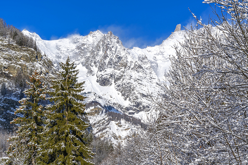 View of snow covered trees, mountains from Dolonne during winter, Courmayeur, Aosta Valley, Italy, Europe