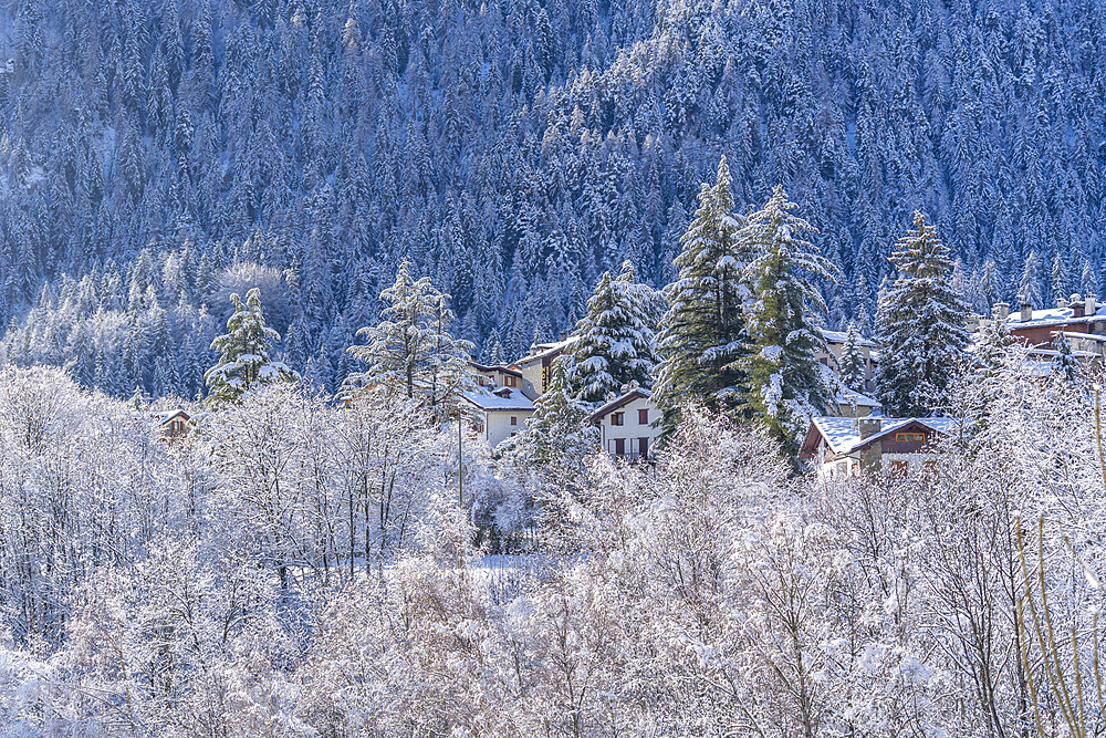 View of snow covered chalets, trees and mountains from Dolonne during winter, Courmayeur, Aosta Valley, Italy, Europe